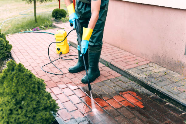 Best Driveway Pressure Washing  in Homer City, PA